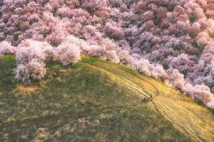 4.8出發伊利之春7日最美新疆2-8人小包團