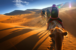 經典騰格里沙漠五湖連穿4天3晚，全年排期