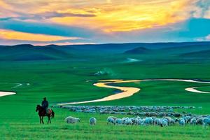 6.20首發老畢帶隊，呼倫貝爾六日馳騁草原，車馬揚鞭