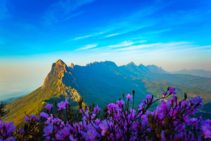 【福地靈山】3.19-20已成行，天下靈山 ?天空之境 ? 集中營?櫧溪老街品質純玩二日游