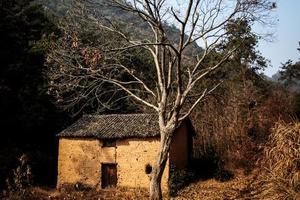 4.10周日，行走金華古道系列之——桃嶺古道（小華山）