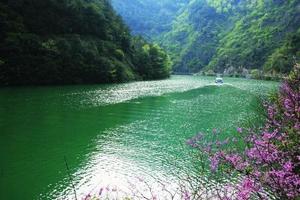 4.14周四，行走金華古道系列之——仙坪古道（白石灣環線）