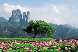 【1314最美綠道】“江山”如此多嬌，來為你的一生所愛走上1314吧！省第三屆生態運動會暨長三角徒步大會聯賽（江山站）報