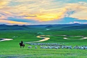 8越野車穿越呼倫貝爾市，4人即獨立成團，馳騁草原，策馬揚鞭