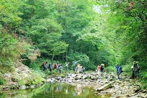 8.18周四，AA制出行，武義琴壇溯溪，邂逅一場(chǎng)盛大的清涼