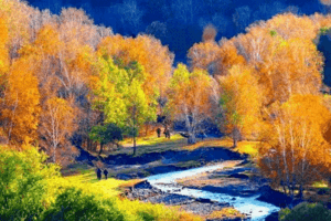 9月30日純玩7天6晚丨穿越草原腹地，秋色阿爾山，漫步白樺林，全程SUV越野車，草原邊境穿越之旅