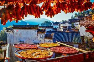 10月1日已成團，【雙王牌】篁嶺曬秋+婺女洲大型實景演出品質純玩二日游