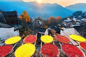 9.17已成團(tuán)，世界曬秋符號(hào).江西篁嶺.秋風(fēng)納涼大峽谷純玩二日