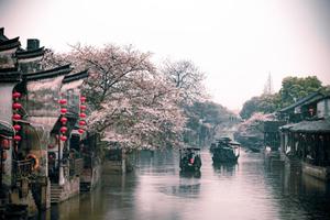 11月19日報名中，三大古鎮(zhèn)純玩，烏鎮(zhèn)、西塘、南潯二日游，酒吧小酌、小橋流水烏篷船...