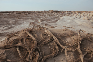 羅布泊無(wú)人區(qū)核心穿越