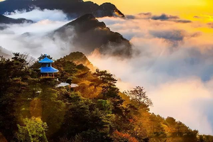 2.10-16天天發(fā)團(tuán)，5A廬山主景區(qū)?觀音橋?鄱陽湖，白鹿洞書院純玩三日游