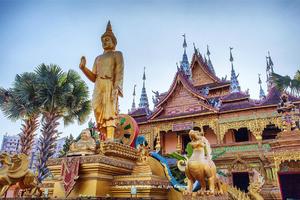 1.21秘境版納丨穿越熱帶雨林 徒步非遺茶山 遇見民族文化 探秘生物多樣性 6日行程