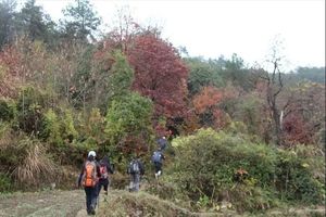 【先行者計劃】12.18周日浦江八角尖、仙華山（環(huán)線）誤入景區(qū)