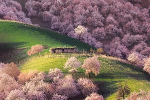 4.8【夢幻伊犁】蘭溪獨立VIP小團，余位6