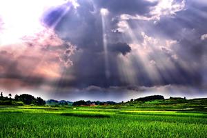 2.21老畢帶隊，已出高鐵票，七彩貴州踩線