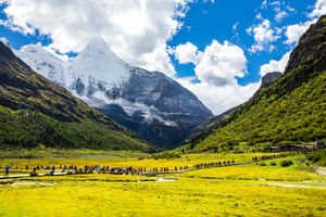 4.13僅此一期特價踩線【稻城亞丁】深度行攝7日