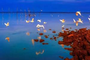 4.24南寧、北海潿洲島、欽州三娘灣、崇左太平古城、中越德天瀑布戶外攝影純玩6日游