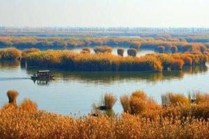 【春生萬物】杭州灣濕地公園、鳴鶴古鎮純玩一日游