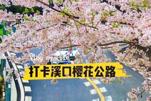 3.29落櫻繽紛·踏春正當時·住寧波掛牌五星級酒店二日游 