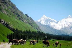 6.3特價踩線【玩聚南疆】深度漫游8日——老畢帶隊