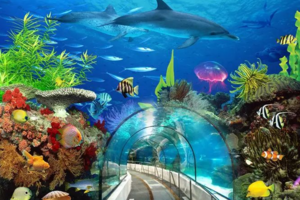 8.27/30已成團【海洋奇緣】上海東方明珠·海洋水族館·外灘·城隍廟純玩二日游