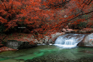 聚享 ?【秋醉紅葉-相約秦巴】10-11月光霧山-黎坪紅葉節-龍頭山云海-十八月潭6日深秋探秘之旅！