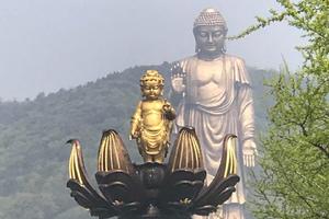9.23報名中，【靈秀江南】無錫靈山大佛?寒山寺?蘇州木瀆純玩二日游