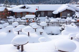 11.25冰雪夢幻2-28人品質團 | 2023冬季相約東北，升級1晚5鉆酒店4晚4鉆酒店，從黑龍江到吉，老畢帶隊