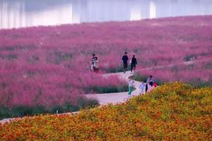 【花海遇見小三峽】船游富春江小三峽?登島嚴(yán)子陵?粉黛花海純玩一日游