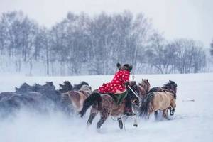 12.8五星烏蘭布統，老畢帶隊，硬派越野車4人獨立成團，比漠河和大興安嶺更容易到達
