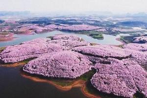 3.13老畢帶隊，2024特價路線  全年僅此一期，暢游貴州，水西福地—古彝奢香