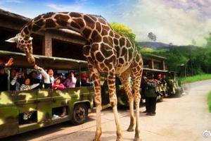 1.30--2.3天天發團【春節?奇妙暢玩】杭州野生動物園.西湖，河坊街純玩二日游