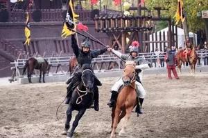 2.11-15天天發(fā)團(tuán)【雙龍賀春?中華恐龍園汽車班】常州中華恐龍園（日游+夜游）·無錫三國水滸城·蘇州同里品質(zhì)純玩三日游