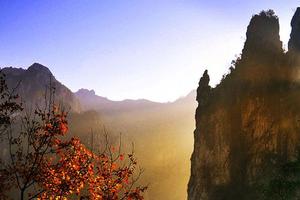 【五星品質】紹“新”二日游