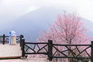 【紫綾佛手橋】桐廬天子地、萬畝櫻花、妙筆樂園純玩一日游