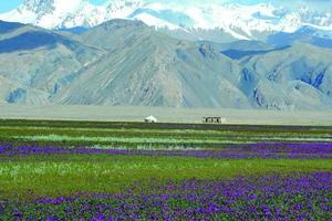 6.10南北疆穿越獨庫公路10日2-6人私家小團