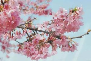 4.5星樂迪定制團建方案