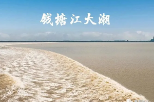 9.7/17/18/19/21【天下奇觀】鹽官觀潮?夜游西塘?月河老街?烏鎮東柵純玩二日游