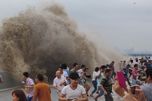 9.21【觀潮】太湖龍之夢動物世界、太湖古鎮、海鹽觀潮純玩二日