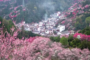 賣花漁村，縱覽千島湖，攜程四鉆純玩二日游