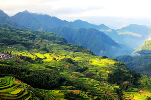 【政府補貼】遂昌金礦?南尖巖?鞍山書院?關雎文化園純玩二日游