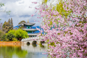 【煙花三月下揚州】揚州瘦西湖?高郵湖上花海?盂城驛? 泰州梅園?鳳城河.望海樓純玩三日游