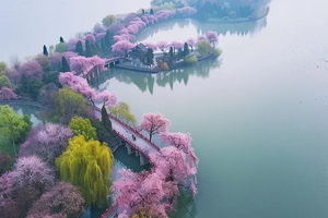 【煙花三月】揚州瘦西湖?東關(guān)街?鎮(zhèn)江西津渡純玩二日游行