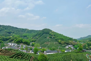 鴻飛定制九溪十八澗