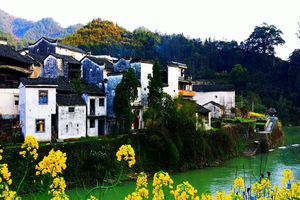 頂配徽州，水墨宏村、世遺西遞，徽州古城，靈山花海，純玩二日游