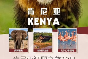 12-2月，非洲肯尼亞動物大遷徙