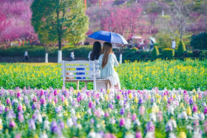 4.13一價全含行者自組，武義花田美地一日含餐