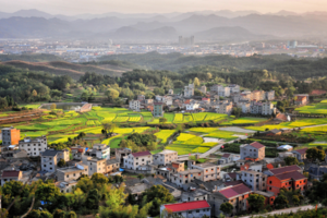 天臺后岸村《康養之旅》3晚4天游