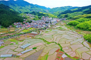 8.26已成團【高山避暑?高坪鄉】遂昌高坪避暑純玩六日游