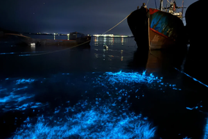 9.17已成團【五星?平潭島】高鐵/大巴都可以出行，平潭島藍眼淚.網紅猴研島.龍鳳頭沙灘歡樂三日游